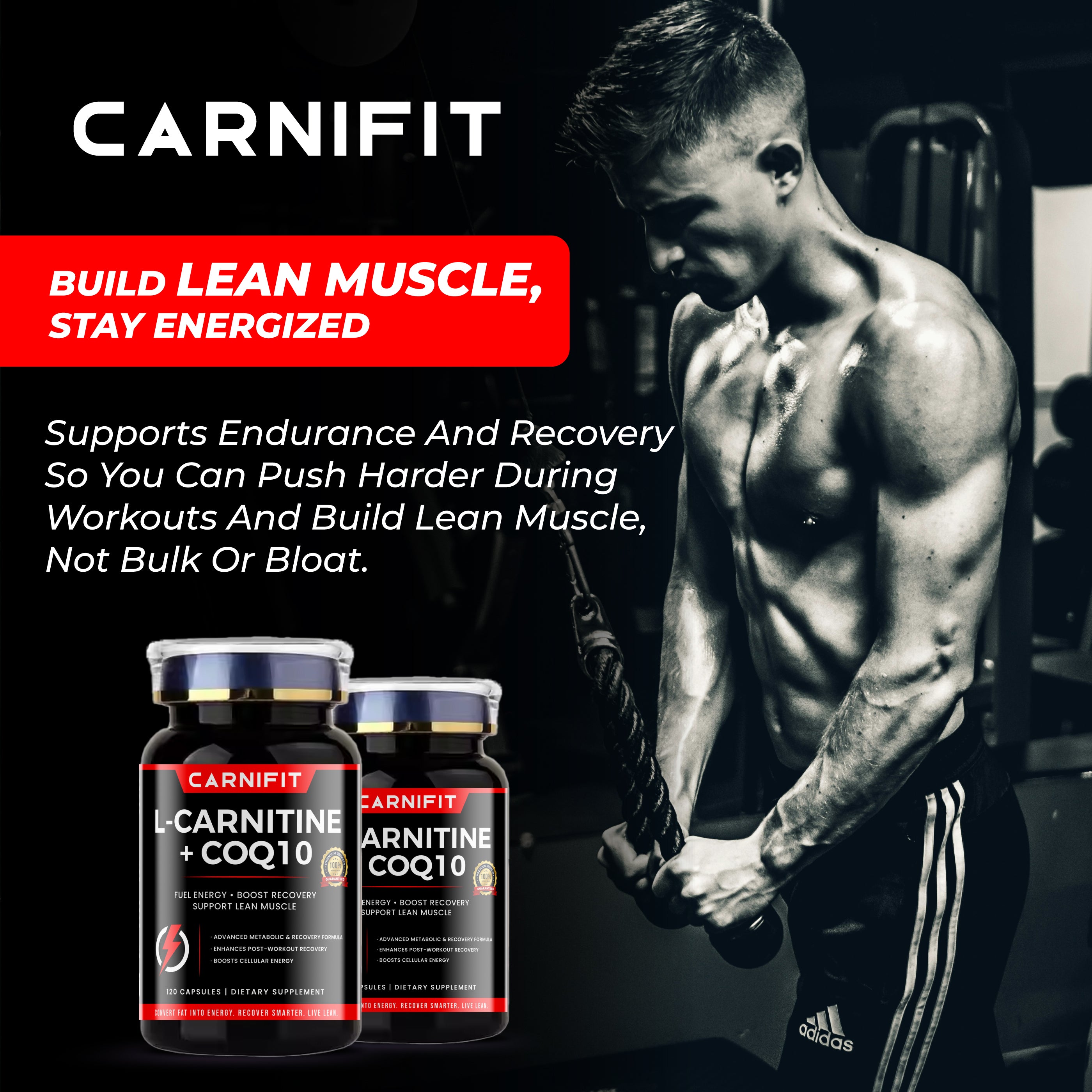L-Carnitine & CoQ10